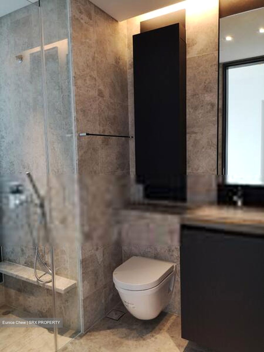 Skysuites@Anson (D2), Apartment #408811781